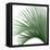 Palm Green IV-Mia Jensen-Framed Stretched Canvas