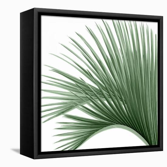 Palm Green IV-Mia Jensen-Framed Stretched Canvas