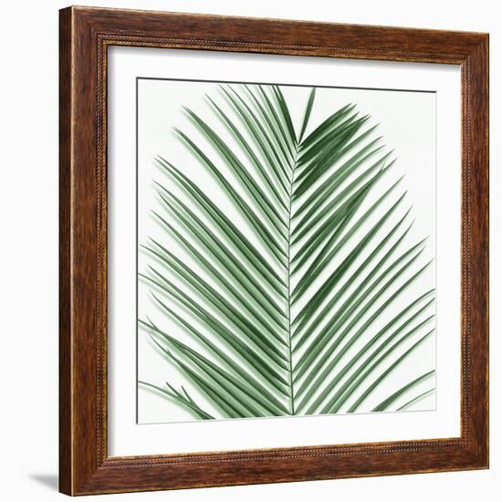 Palm Green V-Mia Jensen-Framed Art Print