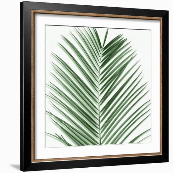 Palm Green V-Mia Jensen-Framed Art Print