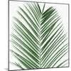 Palm Green V-Mia Jensen-Mounted Art Print