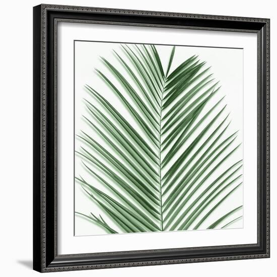 Palm Green V-Mia Jensen-Framed Art Print