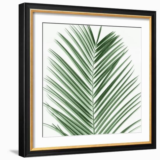 Palm Green V-Mia Jensen-Framed Art Print