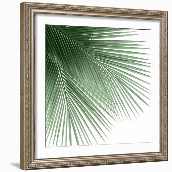 Palm Green VI-Mia Jensen-Framed Art Print