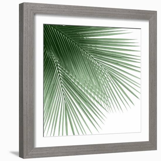 Palm Green VI-Mia Jensen-Framed Art Print