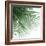 Palm Green VI-Mia Jensen-Framed Art Print