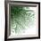 Palm Green VI-Mia Jensen-Framed Art Print