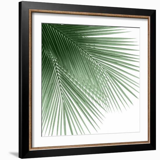 Palm Green VI-Mia Jensen-Framed Art Print