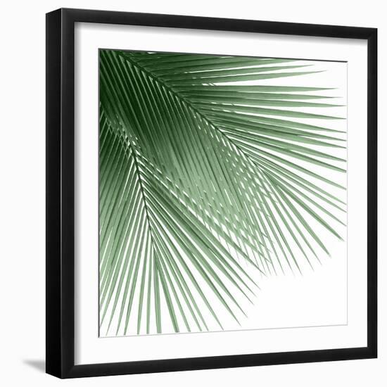 Palm Green VI-Mia Jensen-Framed Art Print