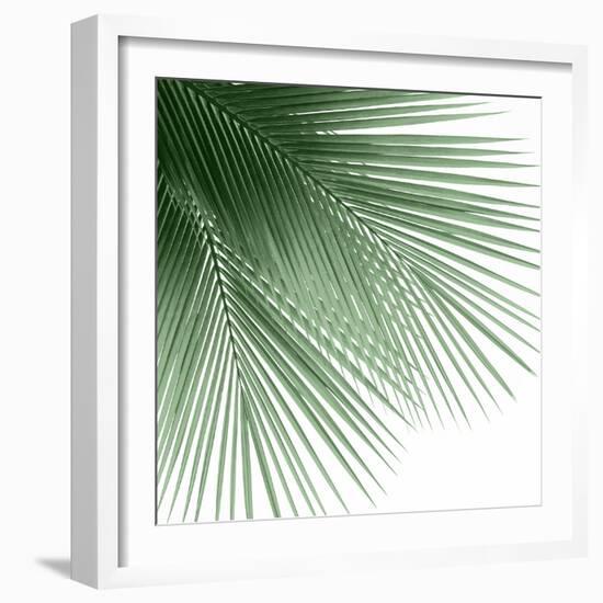 Palm Green VI-Mia Jensen-Framed Art Print