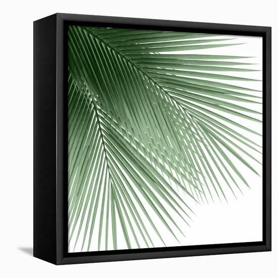 Palm Green VI-Mia Jensen-Framed Stretched Canvas