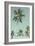 Palm Grove Westside-Chris Simpson-Framed Giclee Print