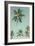 Palm Grove Westside-Chris Simpson-Framed Giclee Print