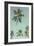 Palm Grove Westside-Chris Simpson-Framed Giclee Print