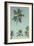 Palm Grove Westside-Chris Simpson-Framed Giclee Print