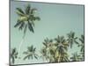 Palm Grove-Chris Simpson-Mounted Giclee Print