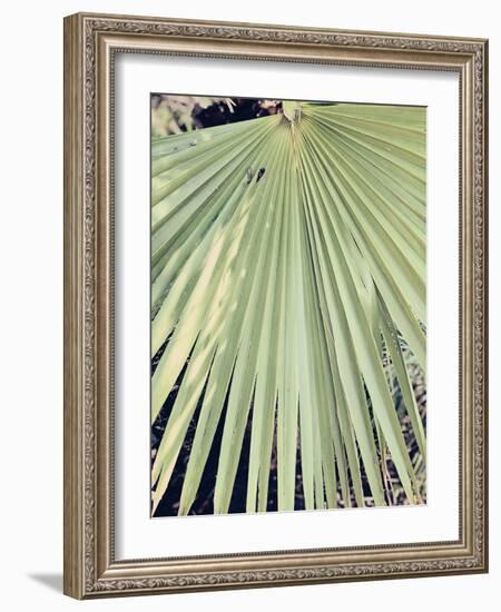 Palm Hand-Ashley Davis-Framed Art Print