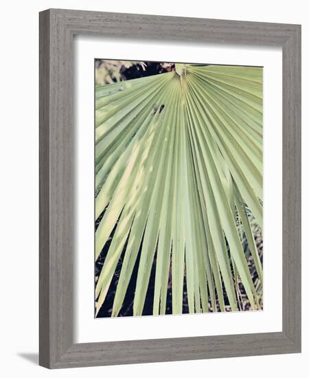 Palm Hand-Ashley Davis-Framed Art Print