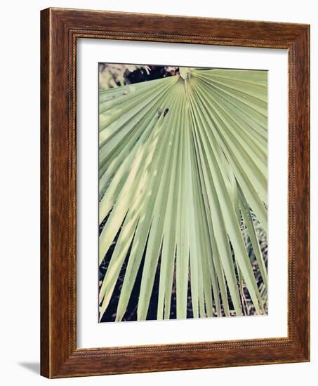 Palm Hand-Ashley Davis-Framed Art Print