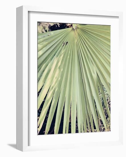 Palm Hand-Ashley Davis-Framed Art Print