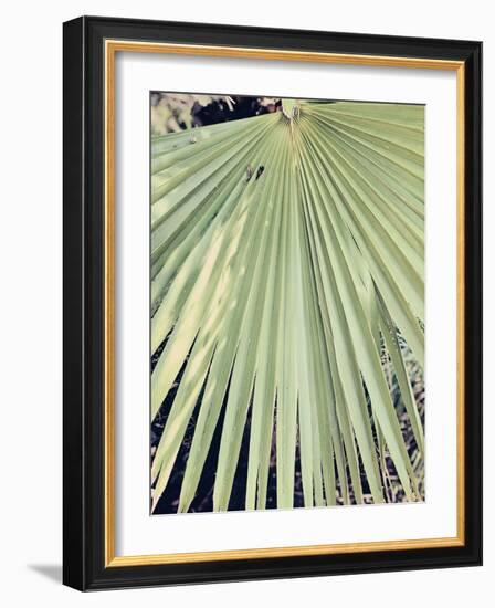 Palm Hand-Ashley Davis-Framed Art Print