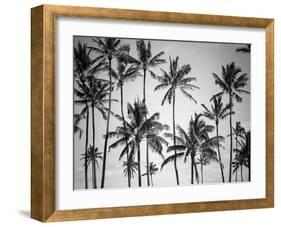 Palm Heaven-Design Fabrikken-Framed Photographic Print