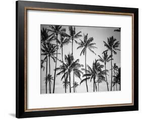 Palm Heaven-Design Fabrikken-Framed Photographic Print