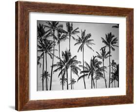 Palm Heaven-Design Fabrikken-Framed Photographic Print