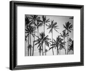 Palm Heaven-Design Fabrikken-Framed Photographic Print