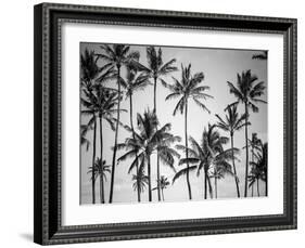 Palm Heaven-Design Fabrikken-Framed Photographic Print