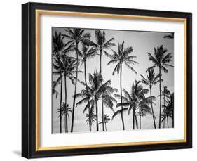 Palm Heaven-Design Fabrikken-Framed Photographic Print