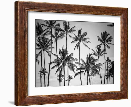 Palm Heaven-Design Fabrikken-Framed Premium Photographic Print