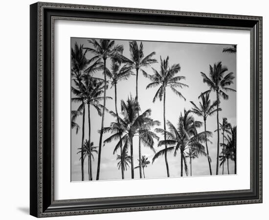 Palm Heaven-Design Fabrikken-Framed Premium Photographic Print