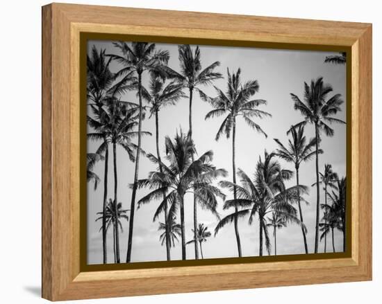 Palm Heaven-Design Fabrikken-Framed Premier Image Canvas