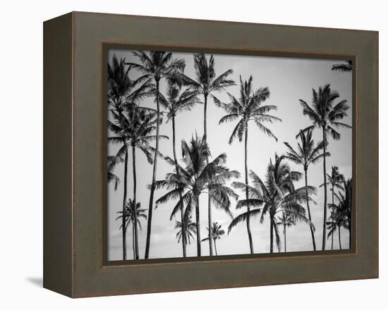 Palm Heaven-Design Fabrikken-Framed Premier Image Canvas