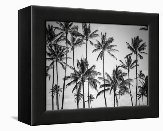 Palm Heaven-Design Fabrikken-Framed Premier Image Canvas