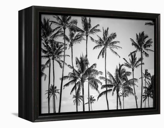 Palm Heaven-Design Fabrikken-Framed Premier Image Canvas