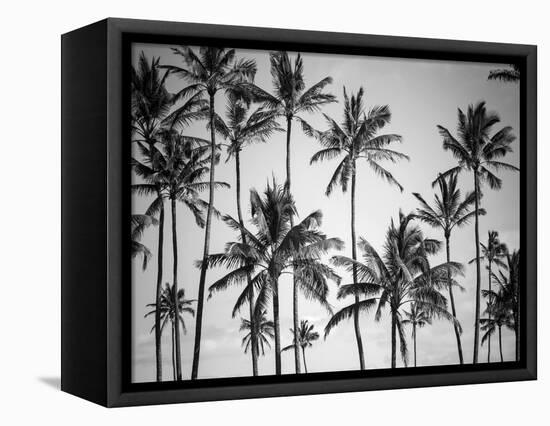 Palm Heaven-Design Fabrikken-Framed Premier Image Canvas