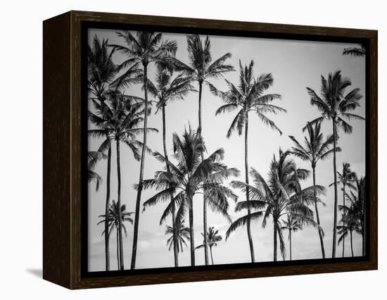 Palm Heaven-Design Fabrikken-Framed Premier Image Canvas