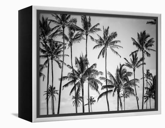 Palm Heaven-Design Fabrikken-Framed Premier Image Canvas