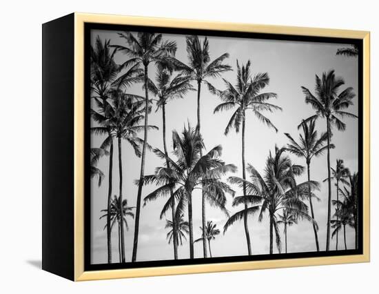 Palm Heaven-Design Fabrikken-Framed Premier Image Canvas