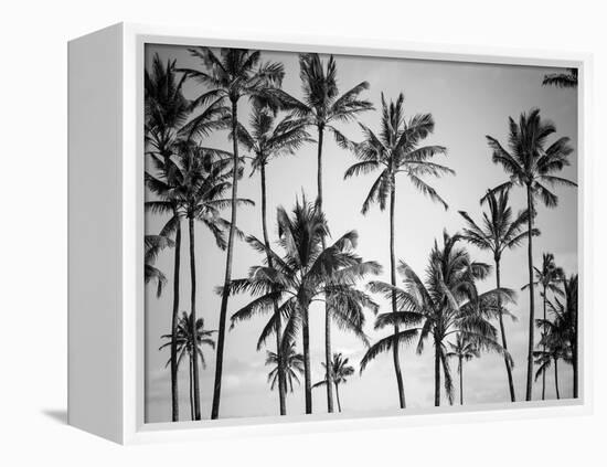 Palm Heaven-Design Fabrikken-Framed Premier Image Canvas