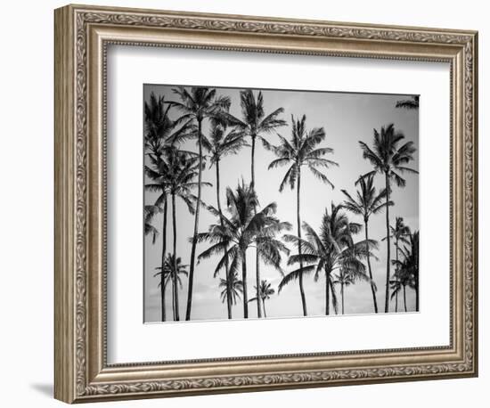 Palm Heaven-Design Fabrikken-Framed Photographic Print