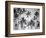 Palm Heaven-Design Fabrikken-Framed Photographic Print