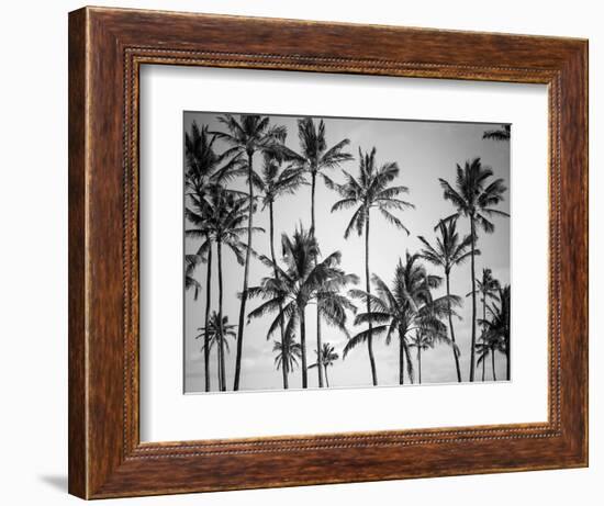 Palm Heaven-Design Fabrikken-Framed Photographic Print