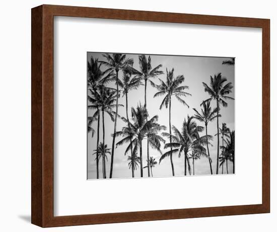 Palm Heaven-Design Fabrikken-Framed Photographic Print