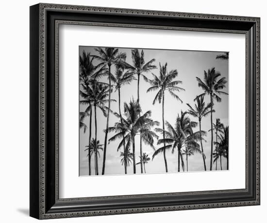 Palm Heaven-Design Fabrikken-Framed Photographic Print