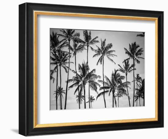 Palm Heaven-Design Fabrikken-Framed Photographic Print