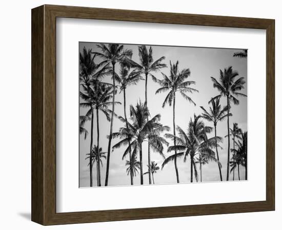 Palm Heaven-Design Fabrikken-Framed Premium Photographic Print