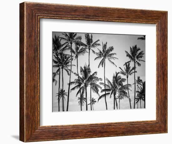 Palm Heaven-Design Fabrikken-Framed Premium Photographic Print